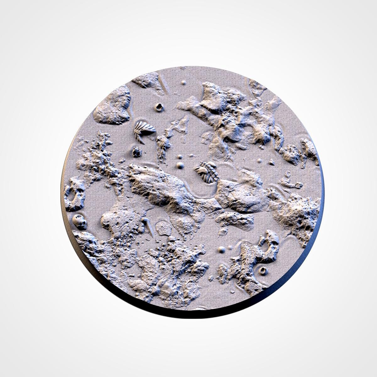 Swamp Bases | Txarli Factory | Round/Oval | Miniature | Resin Print | Mini