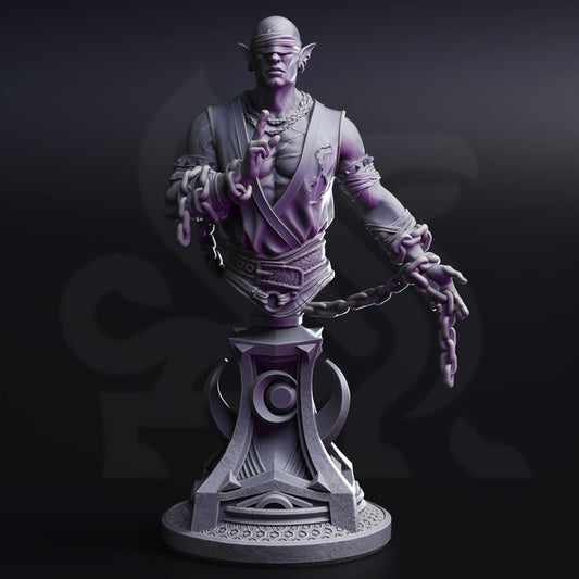 BUST Blind Drow Moon Monk - Uxas Vergos 32mm Resin Miniature D&D 3D Print DND Moon
