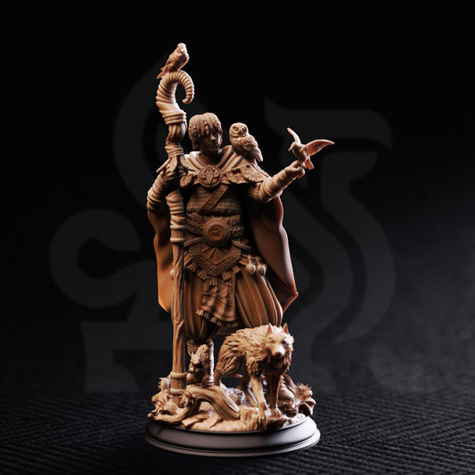 Animal Friend Shaman - Gwambari 32mm Resin Miniature D&D 3D Print DND Viking