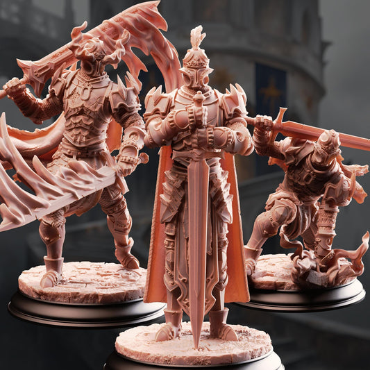 Arcane Armor - Knights of the Bastion 32mm Resin Miniature D&D 3D Print DND Mage